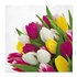 Papírenské zboží - Serwetki PAW L 33x33 cm Bunch of Tulips