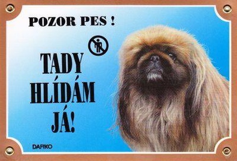 Papírenské zboží - Barevná cedulka Pozor pes, Pekinéz 